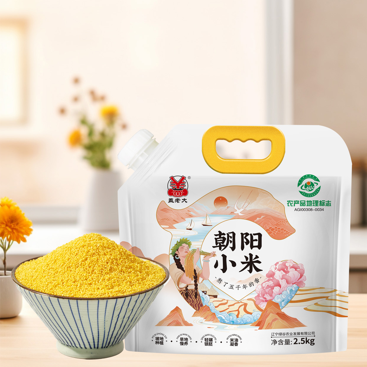 盖老大朝阳小米